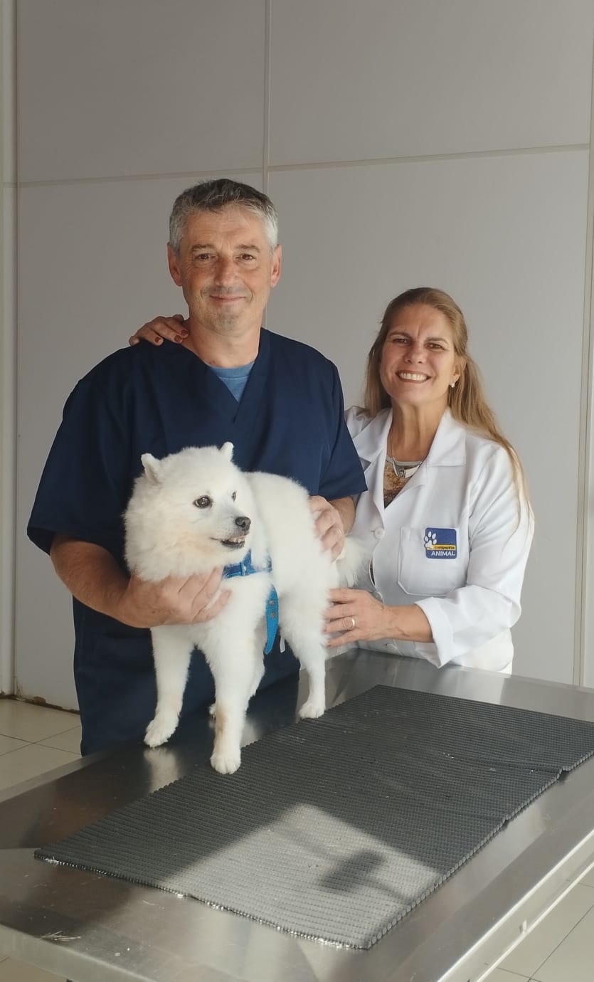 Equipe Companhia Animal